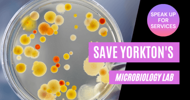 Save Yorkton's microbiology lab