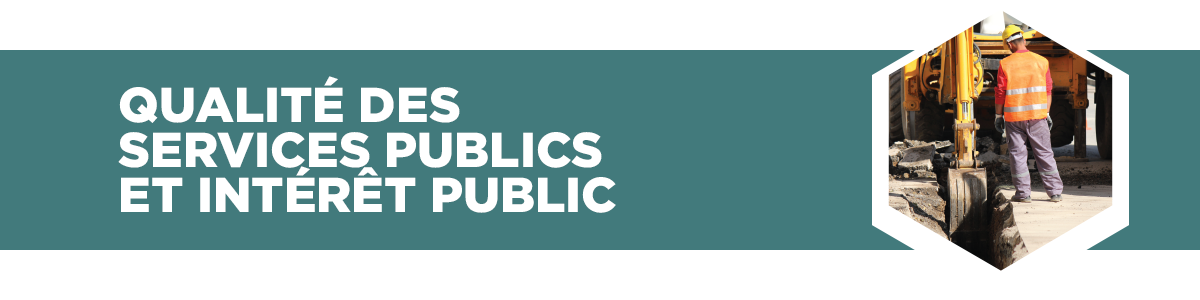 Poser Les Bonnes Questions Un Guide A L Intention Des Municipalites Qui Envisagent Les Ppp Syndicat Canadien De La Fonction Publique