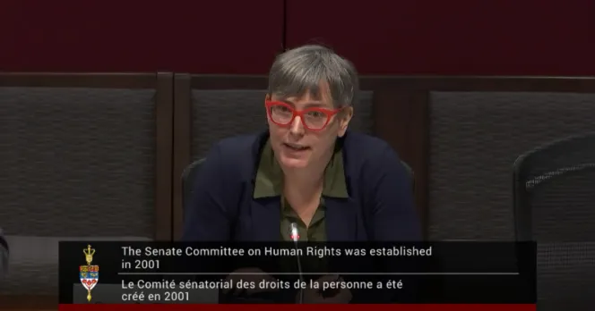 Sarah Rayan Senate AI